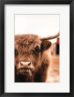 Framed Hungry Highland II