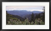 Framed Scenic Mountain View