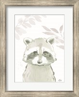 Framed Leafy Raccoon