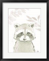 Framed Leafy Raccoon