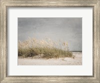 Framed Vintage Beach Grass I