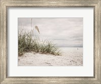 Framed Vintage Beach Grass II