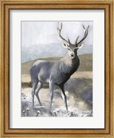 Framed Elk in the Wild
