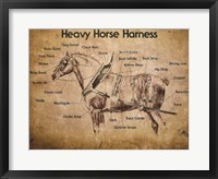 Framed Heavy Horse Harness