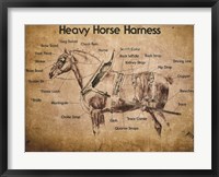 Framed Heavy Horse Harness