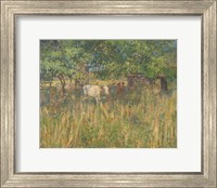 Framed Field Cows