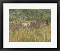 Framed Field Cows