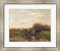 Framed Cows at Sunset