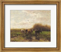 Framed Cows at Sunset