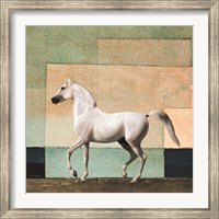 Framed Horse in Abstract Field