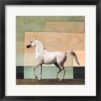 Framed Horse in Abstract Field