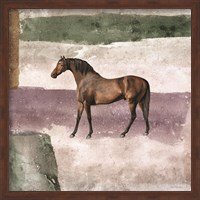 Framed Horse in Field