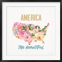 Framed America the Beautiful