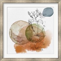 Framed Flower and Watercolor Circles I