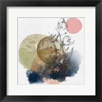 Framed Flower and Watercolor Circles II