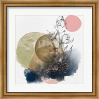 Framed Flower and Watercolor Circles II