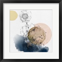 Framed Flower and Watercolor Circles
