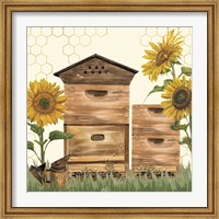 Framed Honey Bees & Flowers Please VII