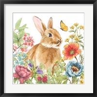 Framed Garden Bunnies V