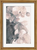 Framed Orchid Splendor II Blush