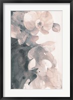 Framed Orchid Splendor II Blush