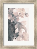 Framed Orchid Splendor II Blush