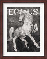 Framed Equus Stallion BW