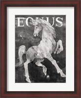 Framed Equus Stallion BW