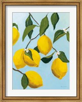 Framed Lemon Tree