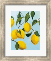 Framed Lemon Tree