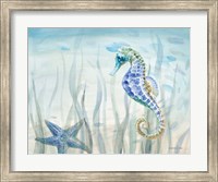 Framed Undersea Friends