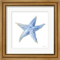 Framed Undersea Starfish