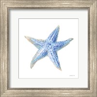 Framed Undersea Starfish