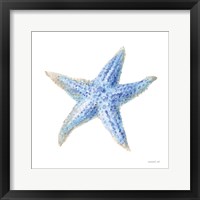 Undersea Starfish Framed Print