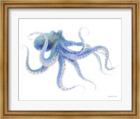 Framed Undersea Octopus