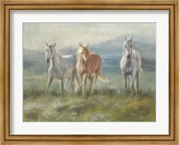 Framed Rangeland Horses