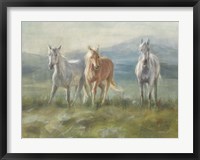 Framed Rangeland Horses