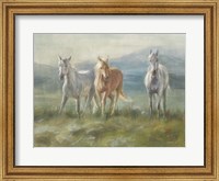 Framed Rangeland Horses