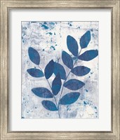 Framed Leaves of Blue II