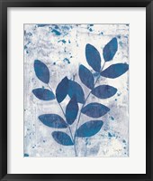 Framed Leaves of Blue II