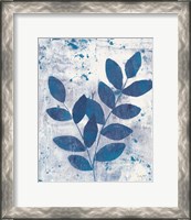 Framed Leaves of Blue II