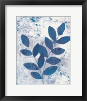 Framed Leaves of Blue II