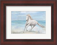 Framed Gallop on the Beach