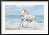 Framed Gallop on the Beach