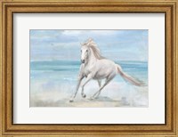 Framed Gallop on the Beach