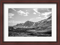 Framed Wyoming Wonder