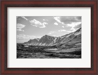 Framed Wyoming Wonder