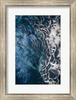 Framed Peacock Study II