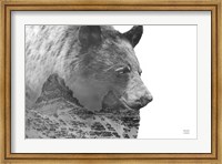 Framed Mountain Bear