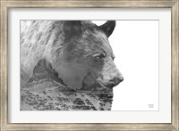 Framed Mountain Bear